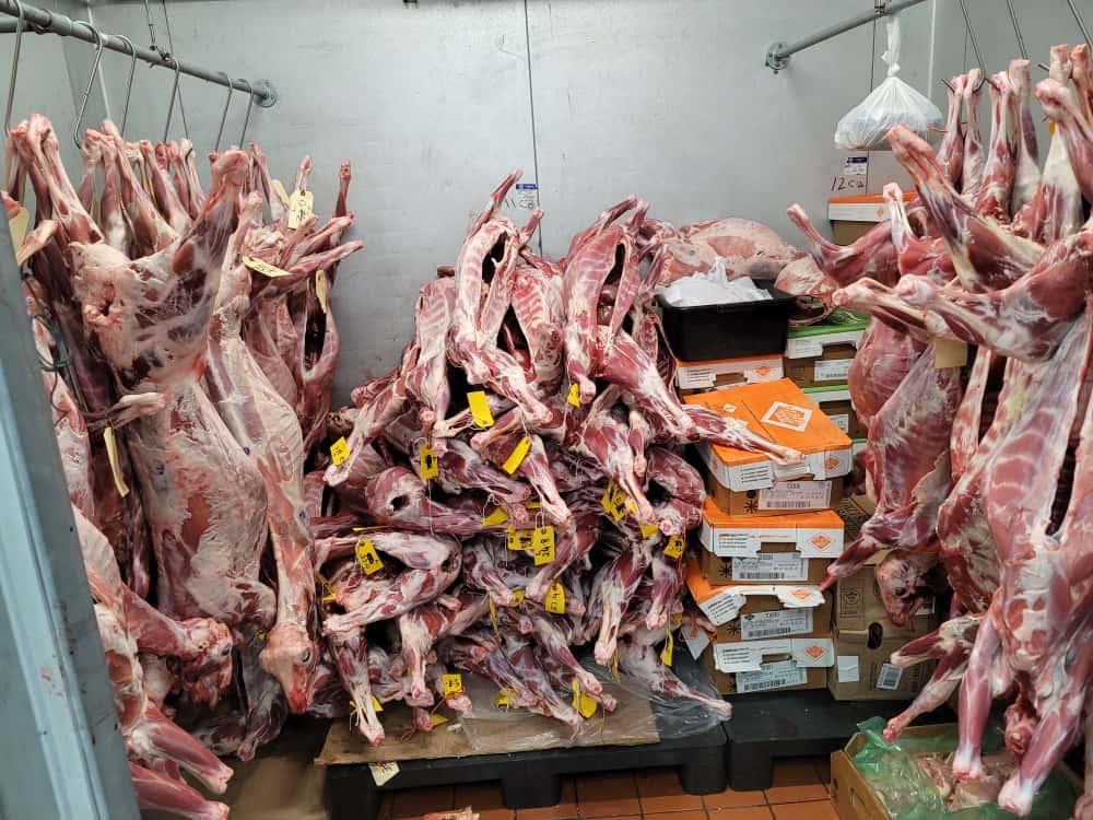 Professional Processing Area