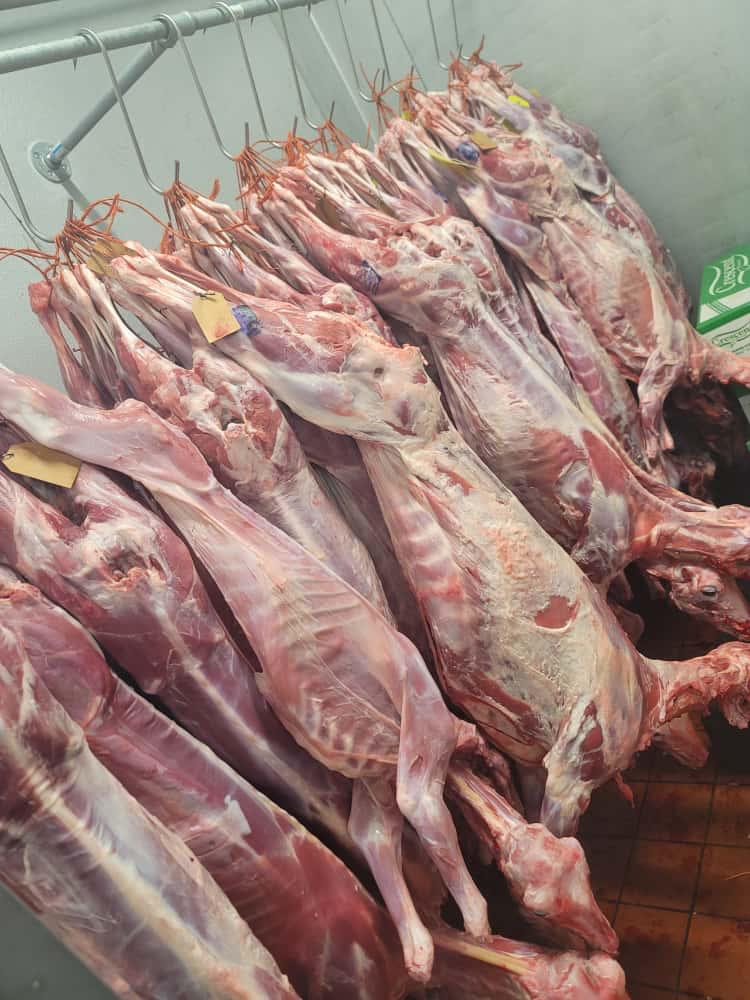 Clean Processing Facility